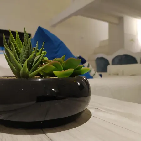 Dimora Jolanda Conversano